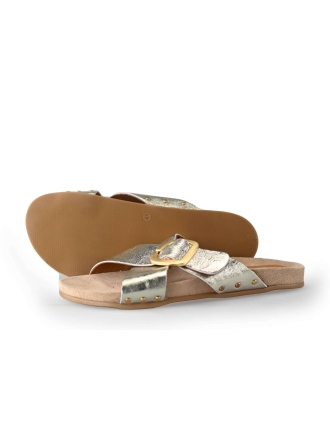 Notre-V Flip-Flops