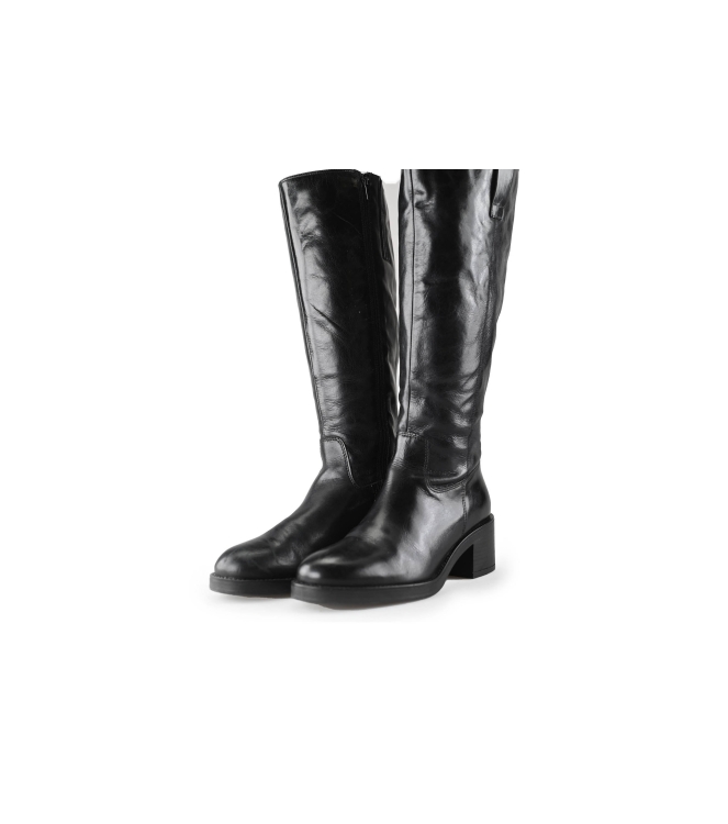 Nelson Stiefel