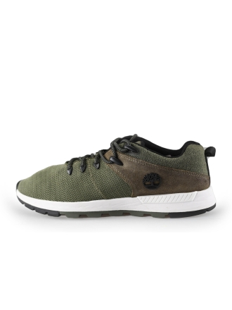Timberland Sneaker