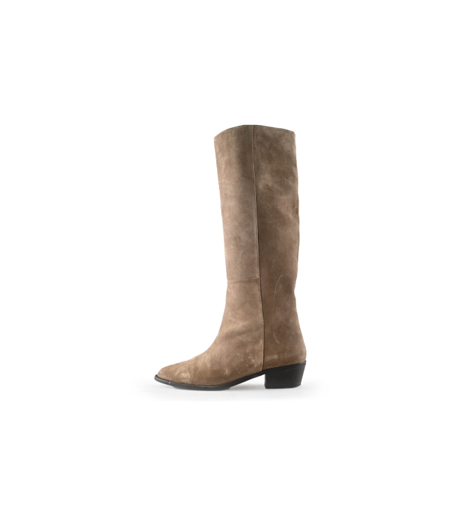 Toral Stiefel