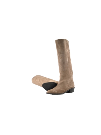 Toral Stiefel