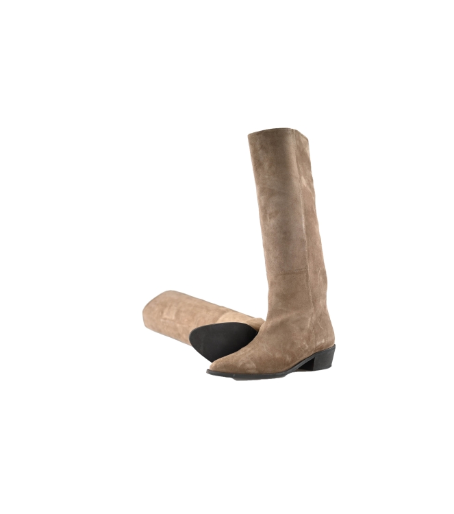 Toral Stiefel