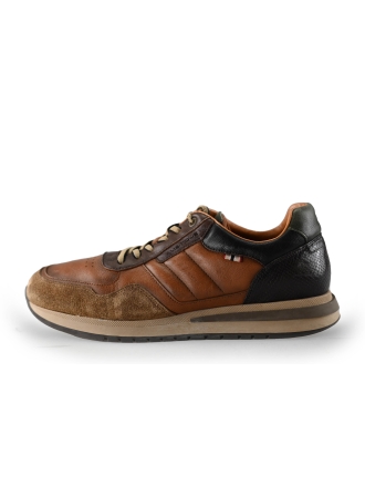 Ambitious Sneaker Braun 240931
