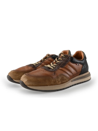Ambitious Sneaker Braun 240931