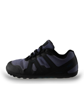 Xero Sneaker Lila 241614