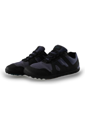 Xero Sneaker Lila 241614