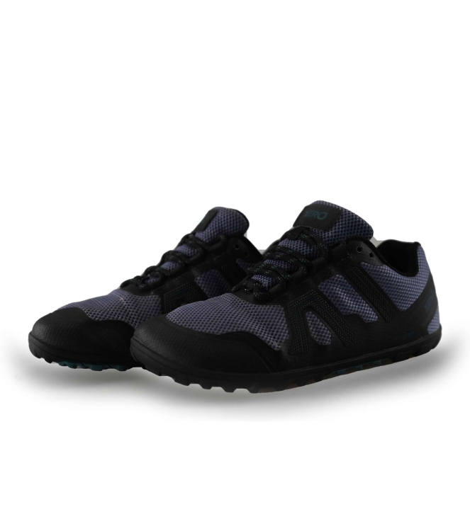 Xero Sneaker