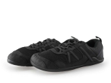 Xero Sneaker