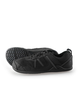 Xero Sneaker