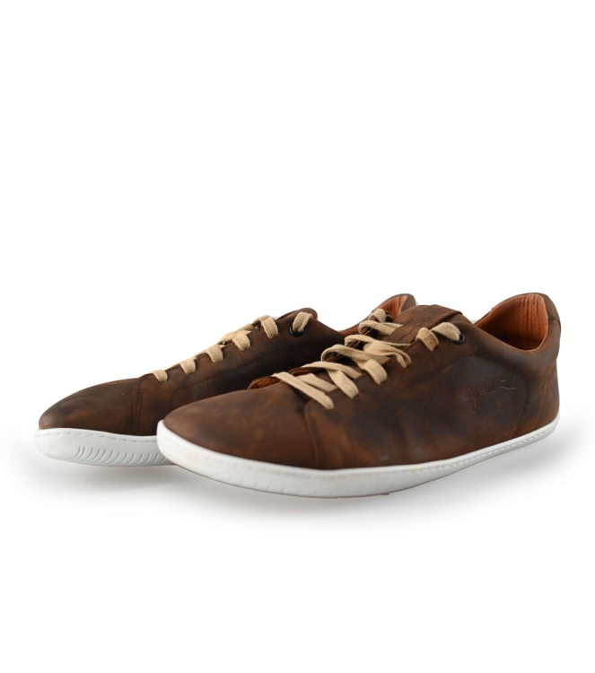 Barefoot Aylla Sneaker