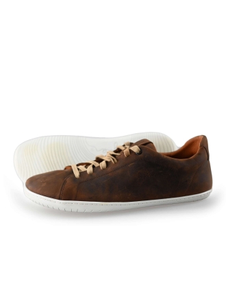 Barefoot Aylla Sneaker