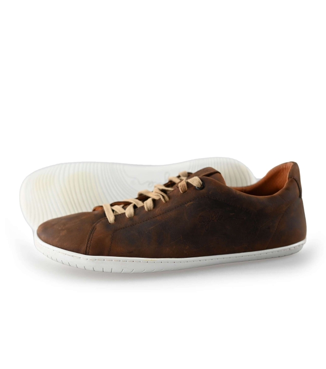 Barefoot Aylla Sneaker