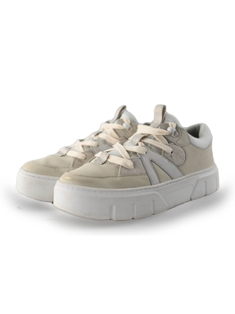Timberland Sneaker Beige 241883