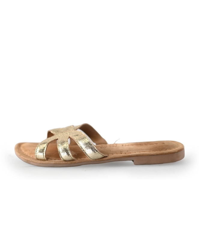Lazamani Flip-Flops