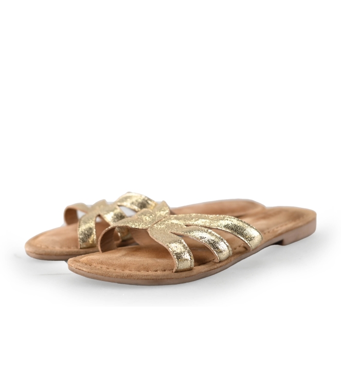 Lazamani Flip-Flops