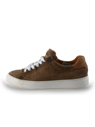 Van Lier Sneaker Braun 242697