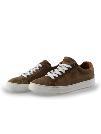 Van Lier Sneaker Braun 242697