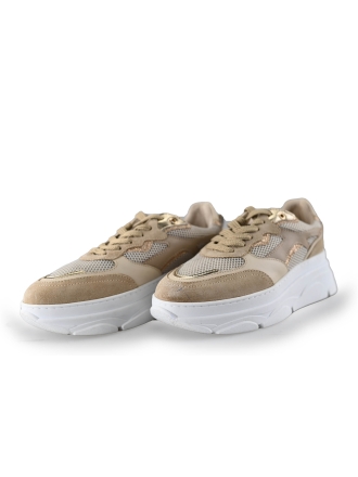 Poelman Sneaker Braun 243537