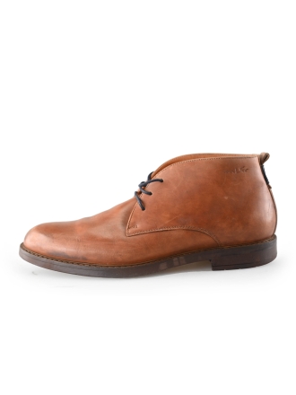 Van Lier Braun 243829