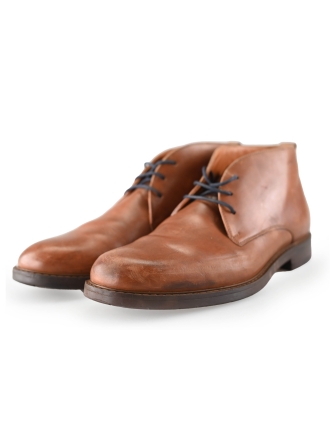 Van Lier Braun 243829