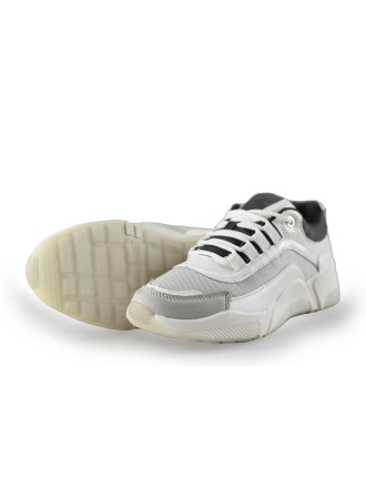 Dolcis Sneaker