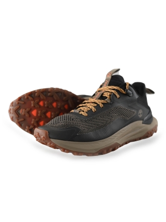 Timberland Sneaker