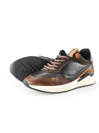 DenBroeck Sneaker