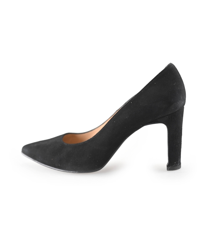 Nelson pumps
