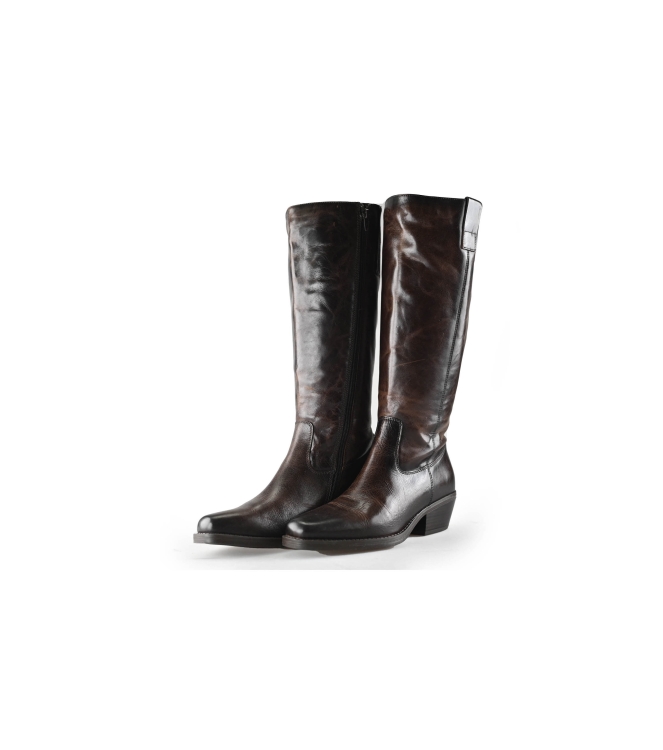 Nelson Stiefel