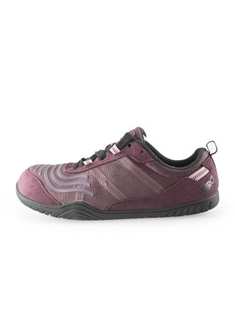 Xero Schnürschuhe Lila 245807