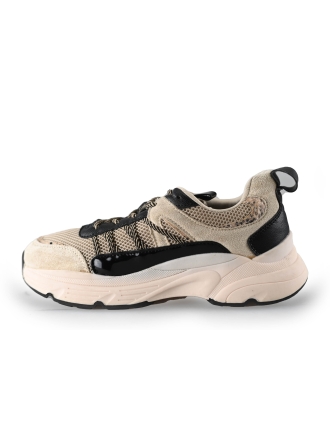 Nelson Sneaker Beige 245876