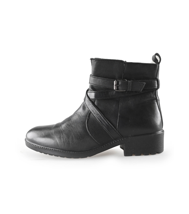Nelson Stiefel