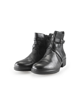 Nelson Stiefel