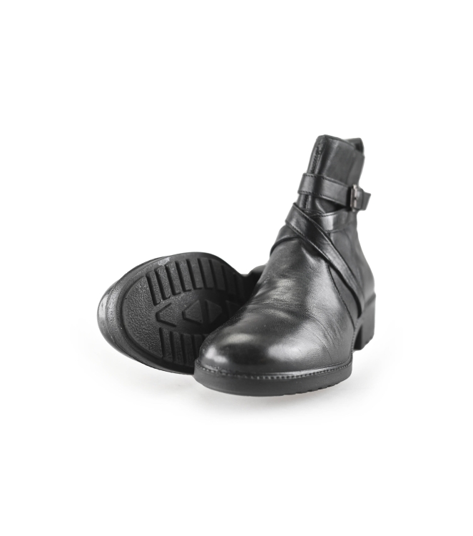 Nelson Stiefel