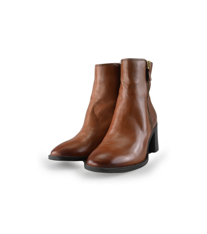Nelson Stiefel