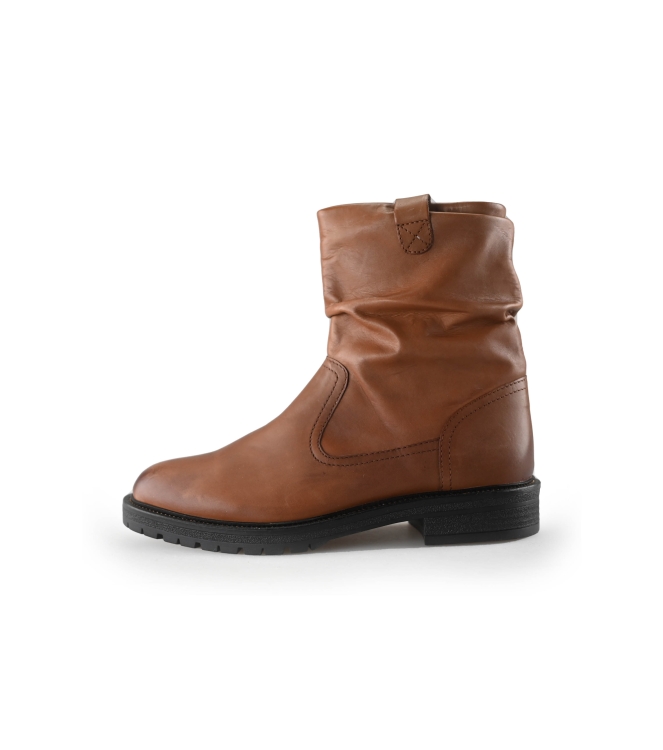 Nelson Stiefel