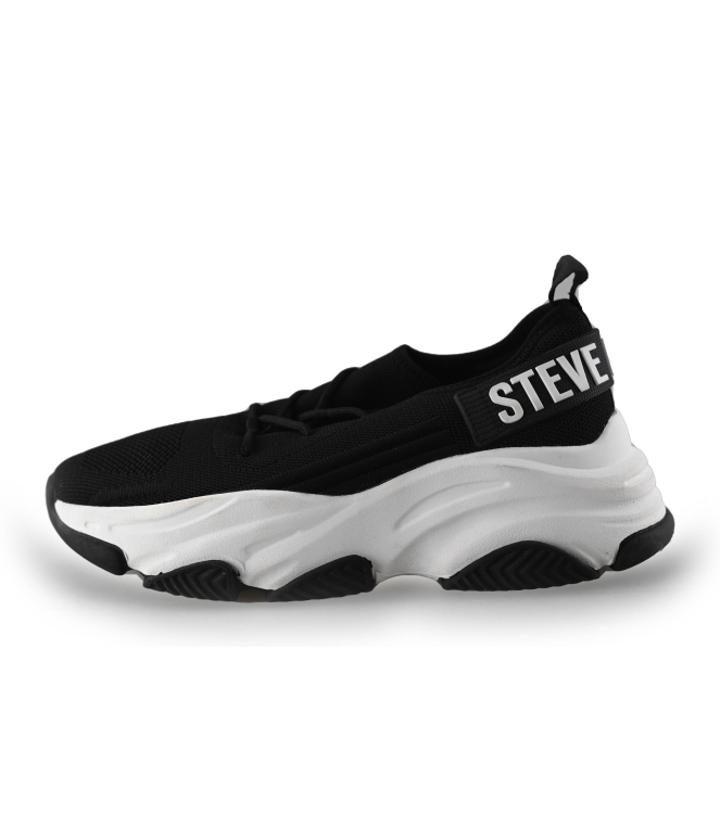 Steve Madden Sneaker