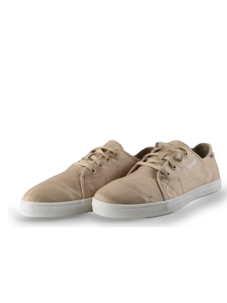 Timberland Sneaker Beige 249468