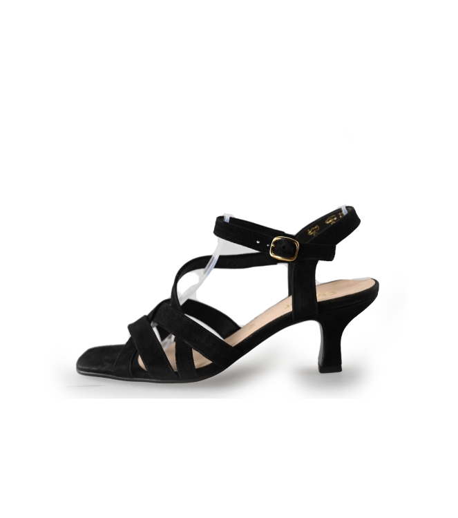 Gabor pumps