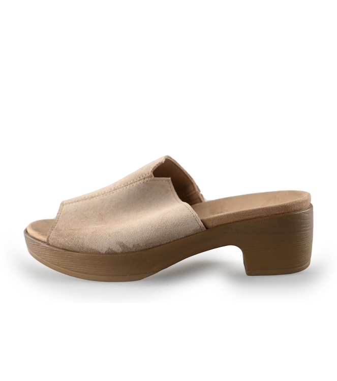 Sesn Flip-Flops
