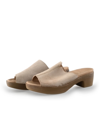 Sesn Flip-Flops