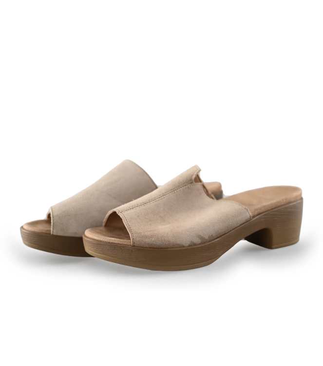 Sesn Flip-Flops