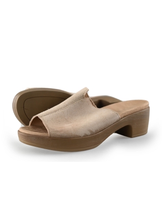Sesn Flip-Flops