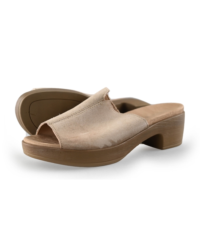 Sesn Flip-Flops