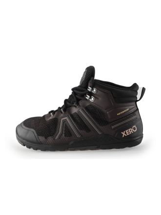 Xero Sneaker