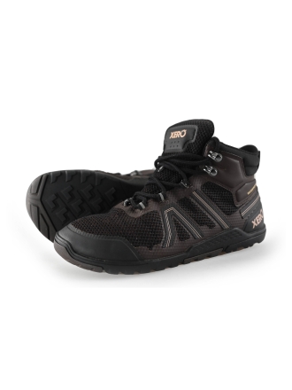 Xero Sneaker