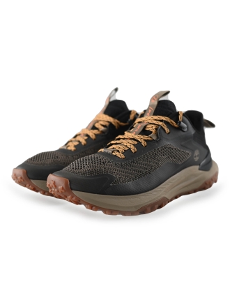 Timberland Sneaker