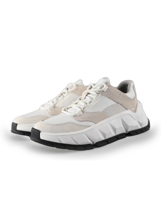 Timberland Sneaker Weiß 246437