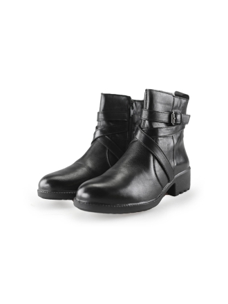 Nelson Stiefel