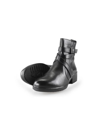 Nelson Stiefel